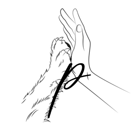 pawsitive nails logo .webp